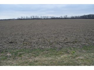 Property photo 5 - 175 Acres Offered in 5 Tracts - Tontogany, Ohio Farm Land Auction